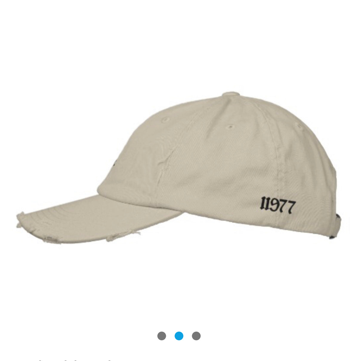 Distressed Dad's Hat